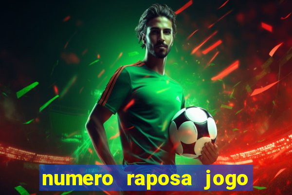 numero raposa jogo do bicho